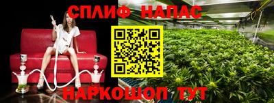 гидра Беслан