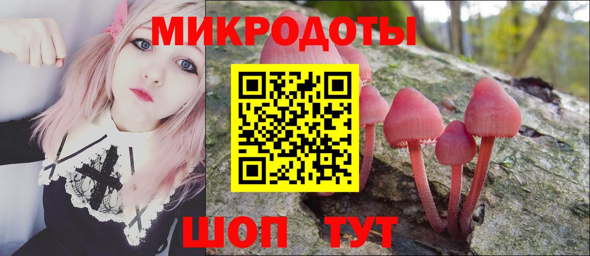 Артём  Псилоцибиновые грибы Cubensis  сколько стоит  Вход с VPN 